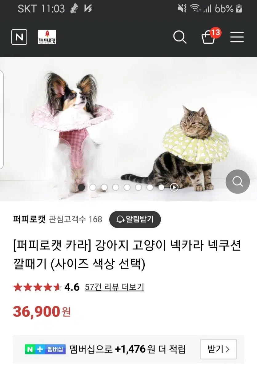 수의사가만든 입는넥카라 강아지 고양이 퍼피로캣 카라